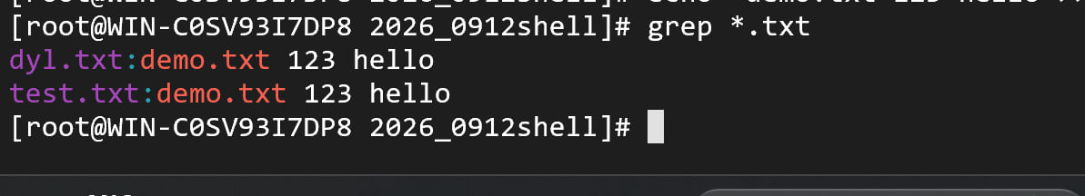 图 4：grep *.txt 的输出带着文件名前缀